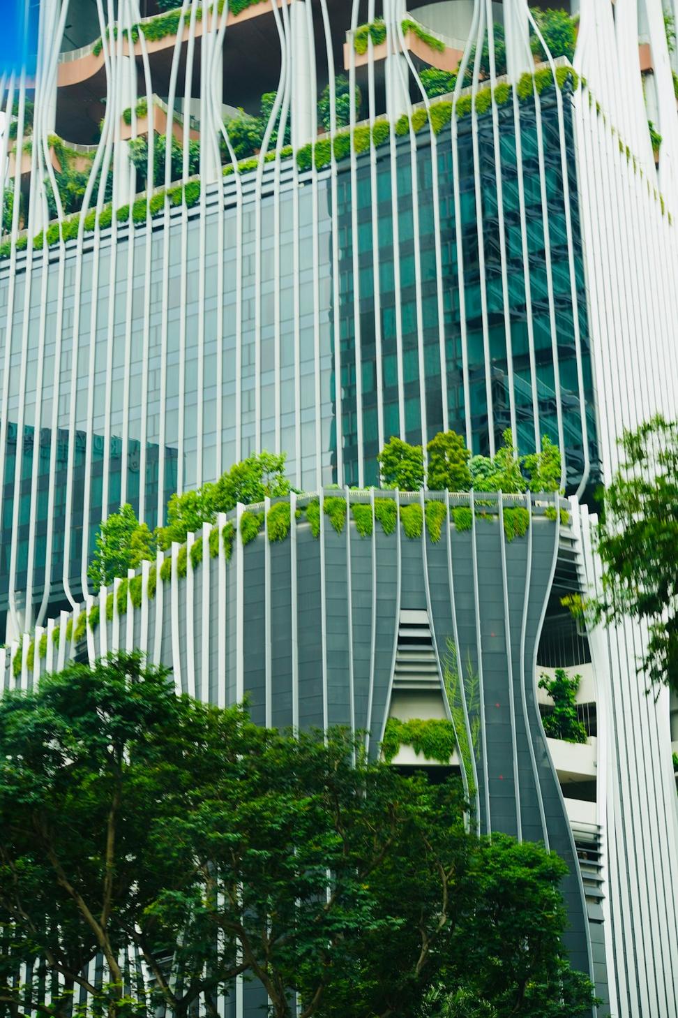 Burnaby Green Campus